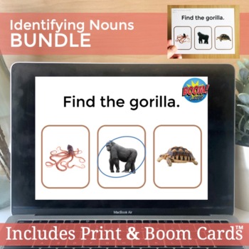 Preview of Identifying Nouns Receptive Language Vocabulary Activity Printable & Boom Cards