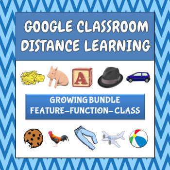 Preview of Identifying Pictures by Feature-Function-Class -Google- Distance Learning BUNDLE