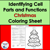 Identifying Plant and Animal Cell Organelles Christmas Col