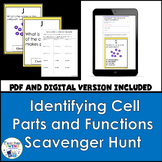 Identifying Plant and Animal Cell Organelles Digital and P