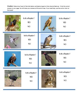 Birds of Prey: a printable raptor unit study