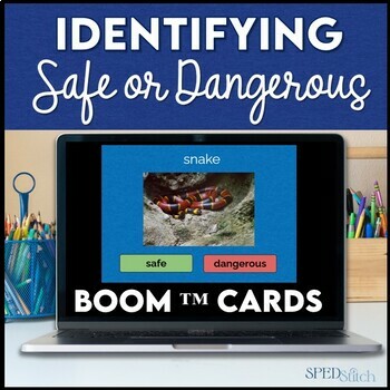 Preview of Identifying Safe or Dangerous Boom™  Cards for Special Education