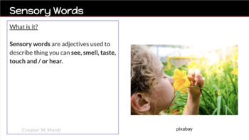 Preview of Identifying Sensory Words in Fictional Texts