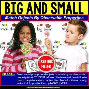 Preview of Identifying Size Big or Small Task Box Filler for Special Education and Autism