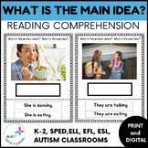 Identifying The Main Idea-Picture Comprehension