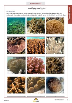 Identifying different corals by Coral Watch | TPT