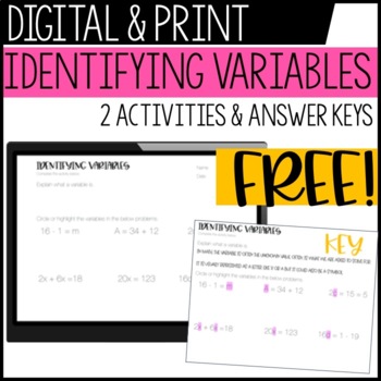 Preview of Identifying variables Activity - digital & print