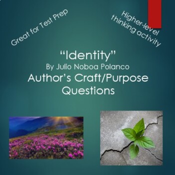 Preview of Identity by Julio Noboa Polanco Author's Purpose Questions and Activities