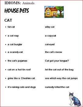 Let's learn some 'Cat' idioms! #englishisnice#englishisfun#idioms