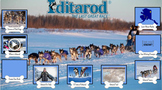 Iditarod Race- MEGA BUNDLE- Resources & Activities