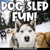 Iditarod Race Unit Sled Dogs Alaska Activities