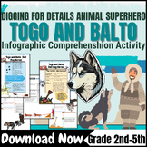 Iditarod - Sled Dogs - Dog Superheros Balto Infographic Co