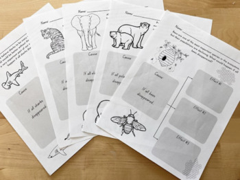 Preview of If (Animals) Disappeared Series by Lily Williams, Cause and Effect Activity