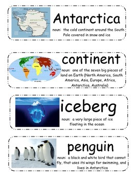 If You Could Go to Antarctica Vocabulary Cards by Amy Morgan | TpT