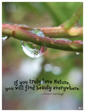 If You Truly Love Nature Poster