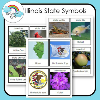Preview of Illinois State Symbols