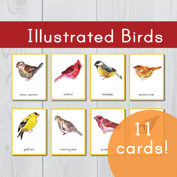 Preview of Illustrated Birds • Montessori Three Part Cards • Flash Cards