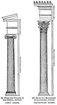 Preview of Illustration of Ionic and Corinthian Architectural Orders