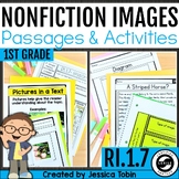Images and Nonfiction Text Features Lessons & Activities R
