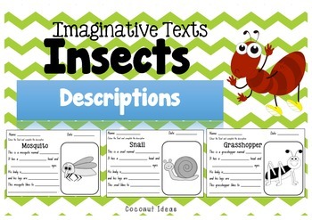 how to describe insects in creative writing