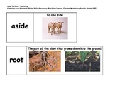 Imagine It Unit 8 Vocabulary Picture Cards--Away we grow