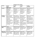 Immigration project Rubric