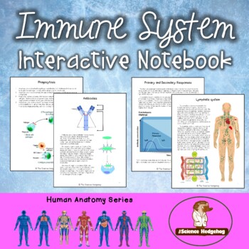 Preview of Immune Lymphatic System Notes