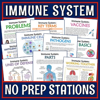 Preview of Immune System Activity NO PREP Stations and Worksheet PRINT and DIGITAL