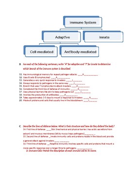 39 Immune System Worksheet Answer Key - combining like terms worksheet