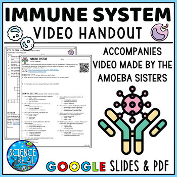 Preview of Immune System Amoeba Sisters Video Handout