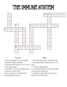 Immune System Crossword by THE Mrs Bacon TPT