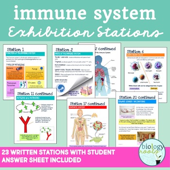 Preview of Immune System Exhibition Stations
