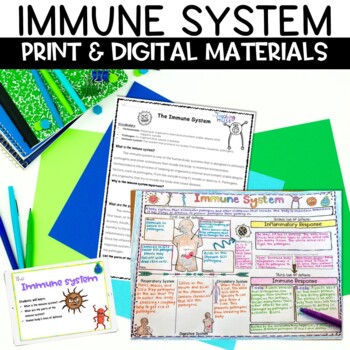Preview of Immune System Activity for Human Body