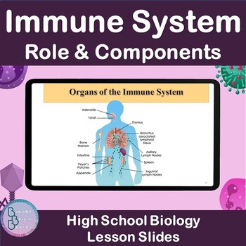 Preview of Immune System Role and Components | PowerPoint Lesson Slides High School Biology