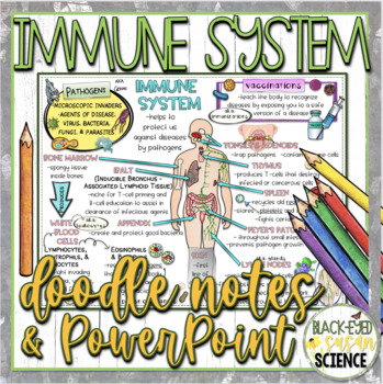 Preview of Immune System Doodle Notes & Quiz + Power Point