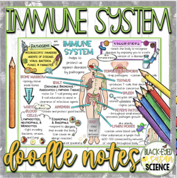 Preview of Immune System Doodle Notes & Quiz