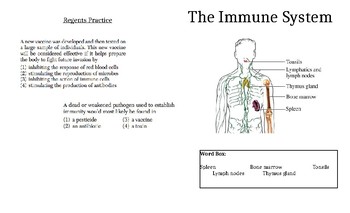 Preview of Immune System Student "book"