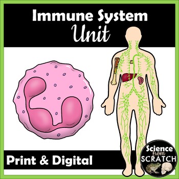 Preview of Immune System Unit for Anatomy