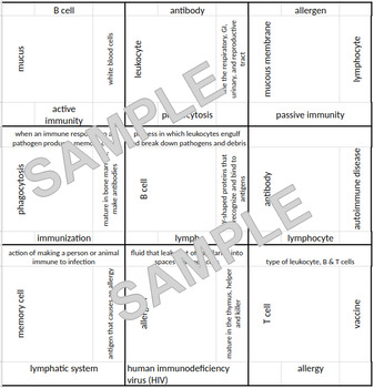 Preview of Immune System Vocab Puzzle