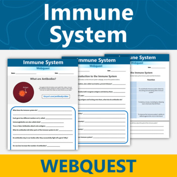 Preview of Immune System Webquest Human Body Systems Activity