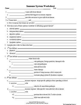 Immune System Worksheets Teachers Pay Teachers