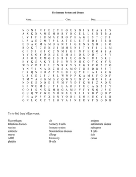 Immune System and Disease Word Search Puzzle with key by Maura
