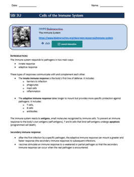 Preview of Immune System - companion to HHMI Biointeractive