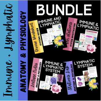 Preview of Immune and Lymphatic System Anatomy Bundle