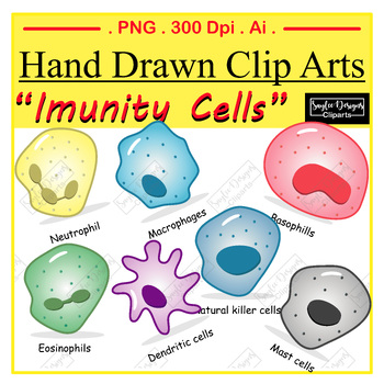 Preview of Immunity Cells , Innate Immune system  , Diagram , Biology , cells