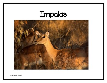 Preview of Impala Non-Fiction Book