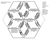 Spanish-American War-Diamond Vocabulary Puzzle