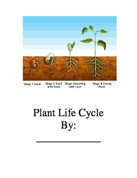 Preview of Important Big Book Plant Life Cycle (GLAD strategy)