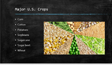 Important Crops Grown in the U.S. Mini-Unit