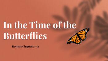 Preview of In The Time of the Butterflies Chapter Lecture Notes: Visually Impressive